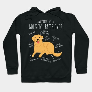 Golden Retriever Anatomy Hoodie